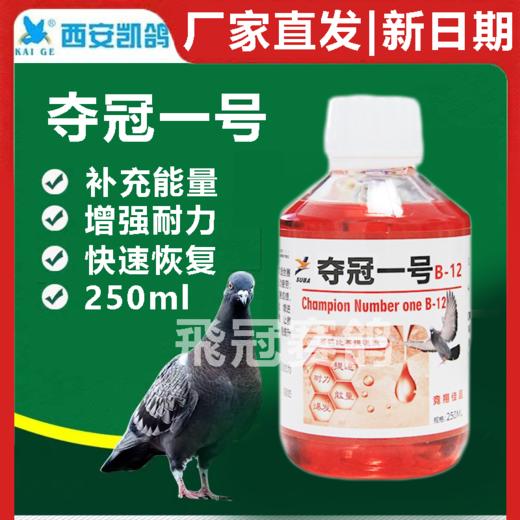 冠军一号B-12夺冠1号250毫升鸽药b12比赛提速抗疲劳止口渴高峰液（凯鸽） 商品图0