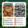 南京同仁堂 乾坤六和胖大海 125g/瓶胖大海可搭菊花金银花 商品缩略图4