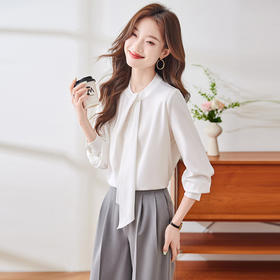 Q136新款长袖气质衬衣白色洋气时尚百搭小众设计感女士韩版衬衫