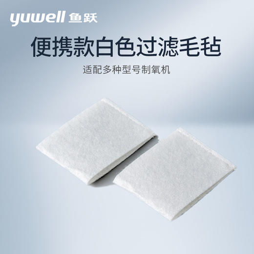 配件|便携款白色过滤毛毡(2只装) 商品图0
