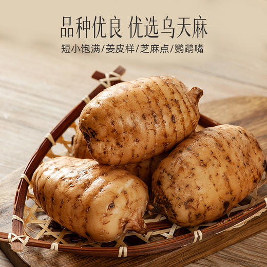 【官方正品】云南白药经销云国鹤天麻120g云南昭通天麻头大个可打粉切片煲汤 商品图2