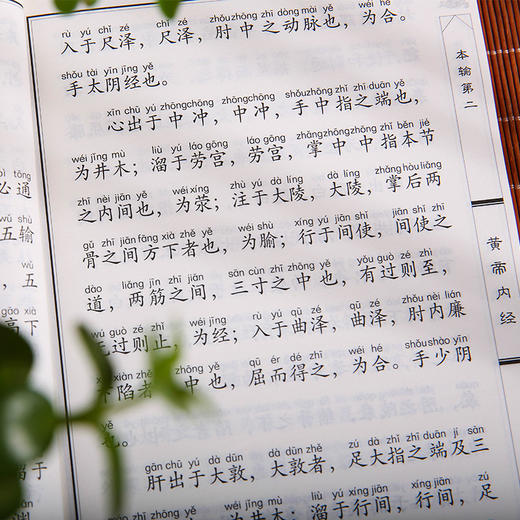 中华经典诵读本-黄帝内经（全四册） 商品图6