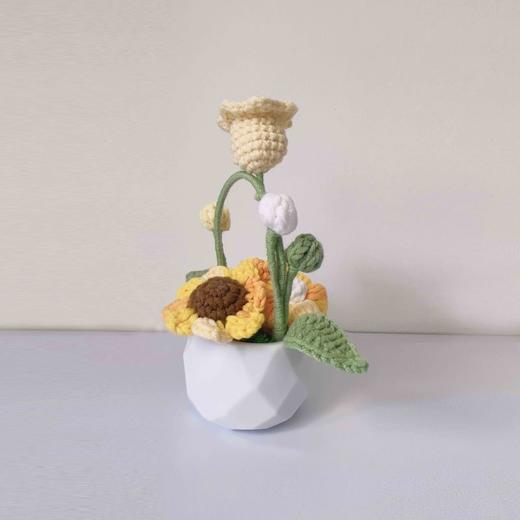梓艺兴手工#原创编织小盆栽 商品图12