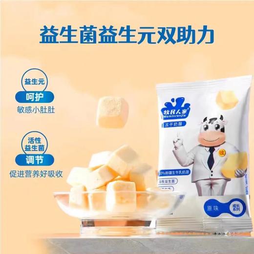 牧民人家冻干奶酪42g/盒新疆美食特产零食 商品图4
