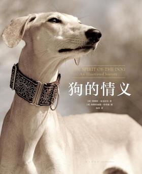 【No.39宠物，是孤独的解药】狗的情义