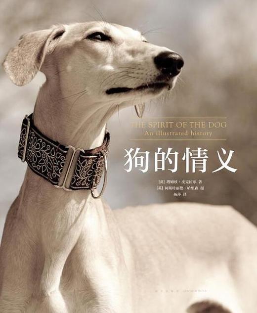 【No.39宠物，是孤独的解药】狗的情义 商品图0