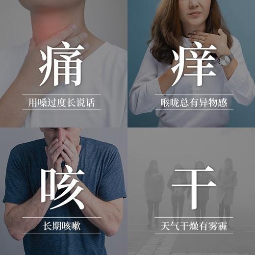 南京同仁堂 乾坤六和胖大海 125g/瓶胖大海可搭菊花金银花 商品图2