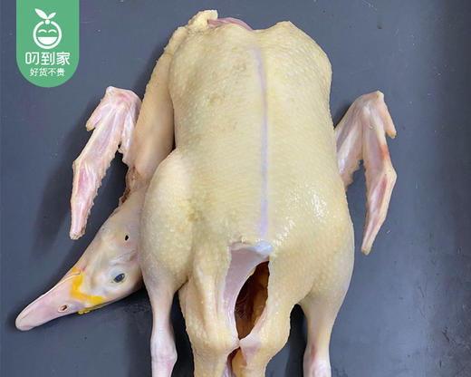 南安放养水库嫩番鸭母（杀完带内脏1.15kg±100g/只） 商品图1