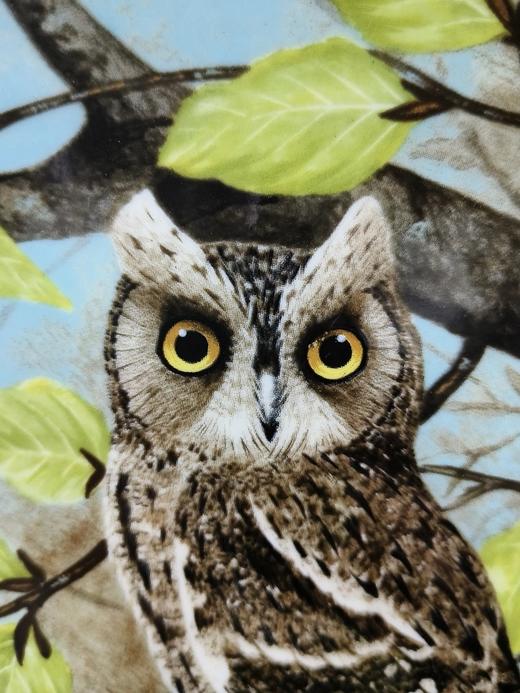 1990年英国科尔伯特智慧的猫头鹰系列赏盘，角鸮 商品图2