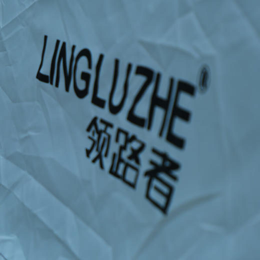 领路者  双人自动帐篷LLZ-ZDZP002 商品图4