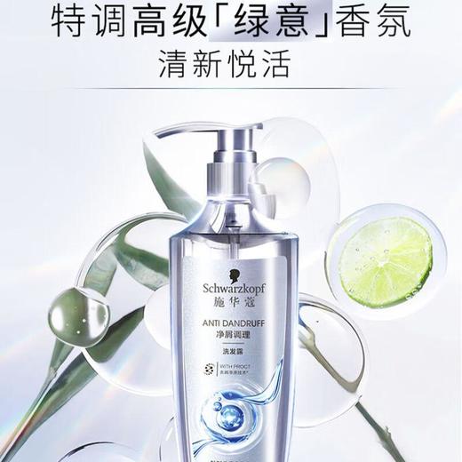 施华蔻净屑调理洗发露600ml/瓶 商品图0