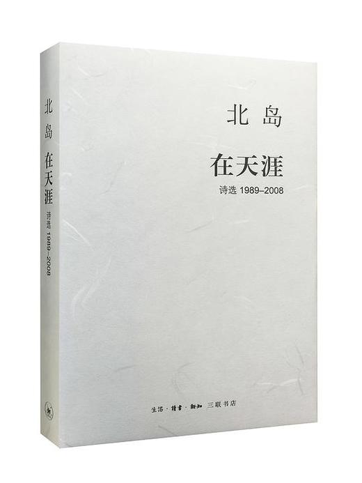 在天涯 : 诗选1989—2008 商品图0