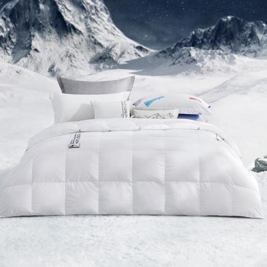 罗莱-品牌抵用券 商品图0