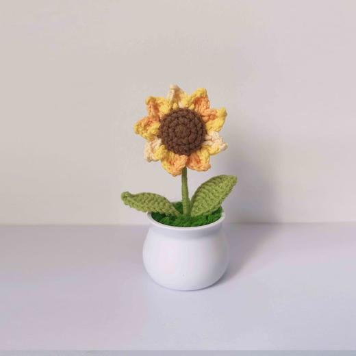 梓艺兴手工#原创编织小盆栽 商品图11