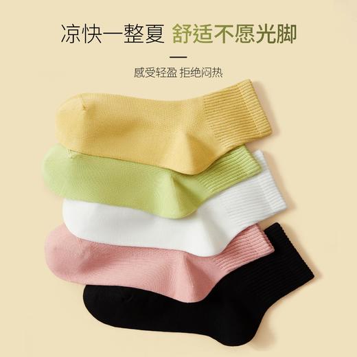 【云托感无骨袜子女】短袜夏季薄款纯棉防臭松口月子袜夏天多巴胺穿搭中筒袜 商品图3