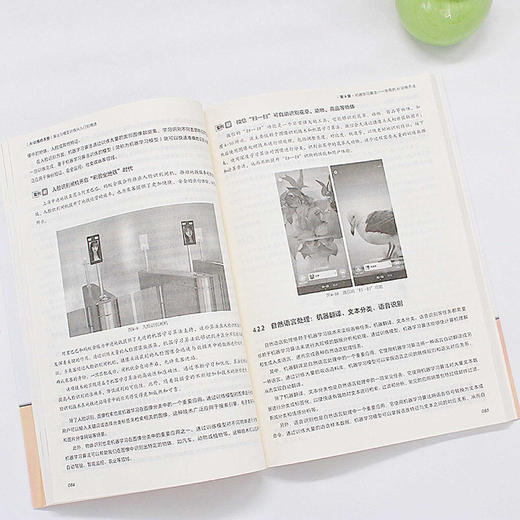 AI训练师手册：算法与模型训练从入门到精通 谷建阳 编著 北京大学出版社 商品图3