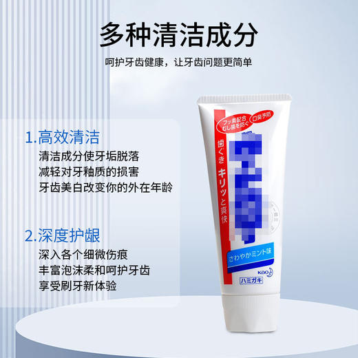 日本大白牙膏165g薄荷提取物多种清洁成分一般贸易正品 商品图2
