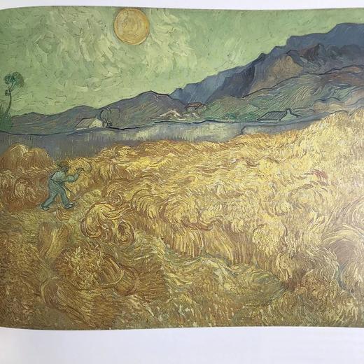 梵高美术馆藏画图集 133幅插图（89幅彩色） 精装大16开 商品图12
