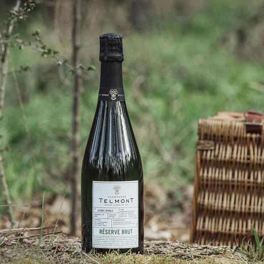 玳慕甄选干型香槟 750ml 商品图1