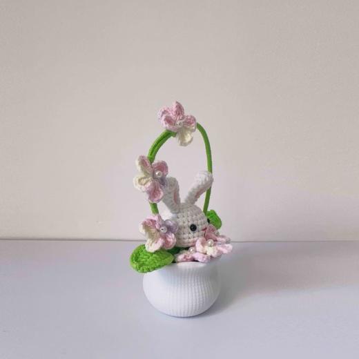 梓艺兴手工#原创编织小盆栽 商品图1