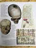 古代世界百科全书 数百幅彩色插图 精装大16开 商品缩略图10