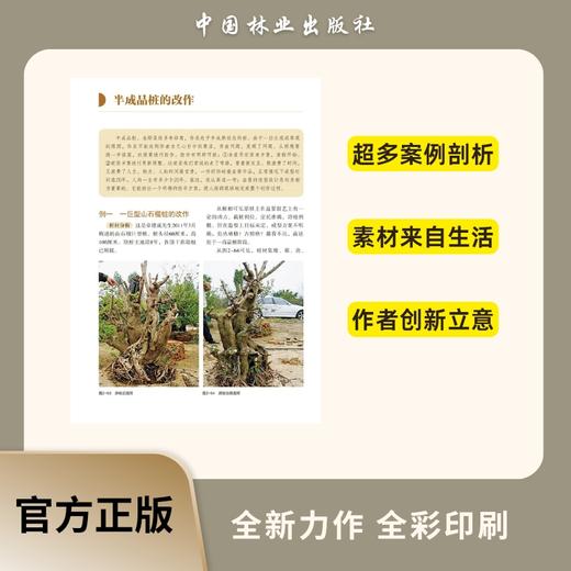 正版包邮 树木盆景造型技艺详解9166玩盆景路子一定要正 造型养护管理中国林业出版社官方旗舰店正版畅销书 商品图1