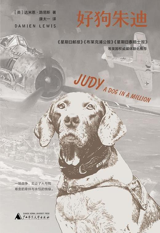 【No.39宠物，是孤独的解药】好狗朱迪 商品图0