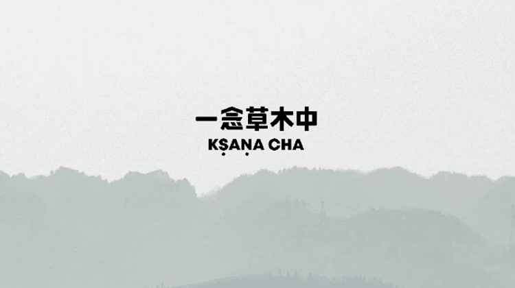 对谈8｜茶与生活：每天喝几泡茶最合适？