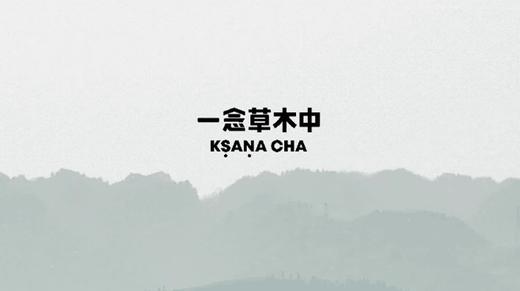 2. 茶是什么？ 商品图0