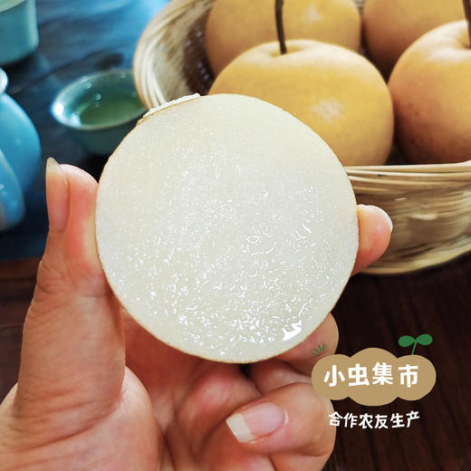 【标果每箱赠送一袋100克秋梨膏】小空山有机圆黄梨 | 合作农友生产，来自河南南召县，生产者：李 鹏 *【公平贸易农人定价】 商品图2