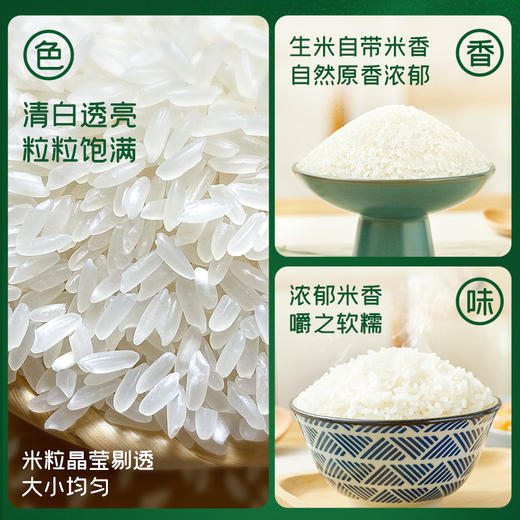十月稻田五常大米真空装5kg 商品图1