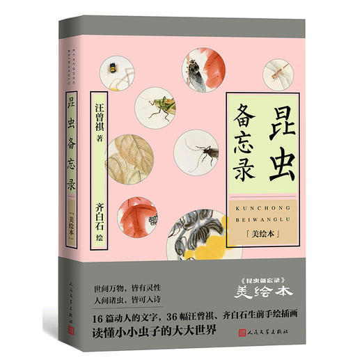 昆虫备忘录 美绘本 商品图0