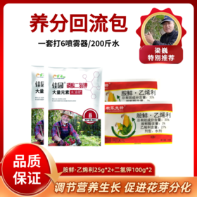 养分回流包  胺鲜·乙烯利25g*2+二氢钾100g*2