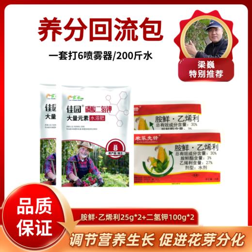养分回流包  胺鲜·乙烯利25g*2+二氢钾100g*2 商品图0
