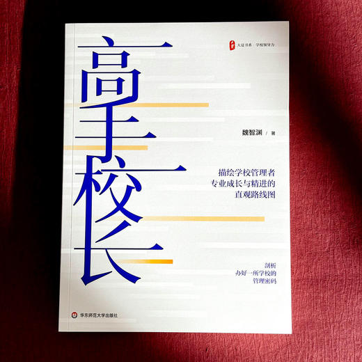 高手校长 大夏书系 魏智渊 学校领导力 校长先读 教师共读 商品图1