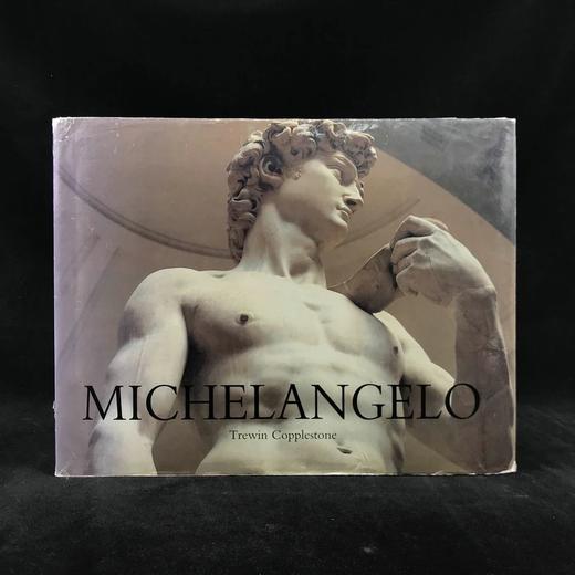 米开朗基罗 数百幅插图 精装大16开 商品图0