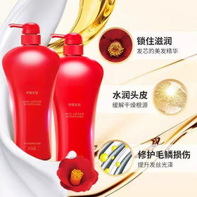日本丝倍绮洗发水护发素洗护红控油金椿洗发露洗发水750ML