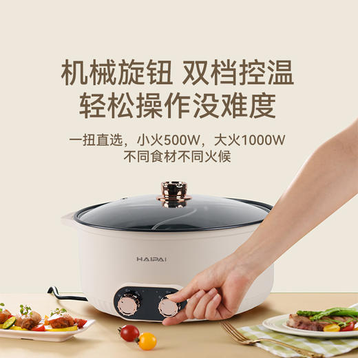 【小家电】海牌Y07B大容量7L鸳鸯火锅 HF 商品图4