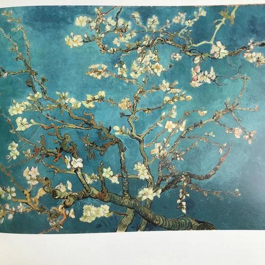 梵高美术馆藏画图集 133幅插图（89幅彩色） 精装大16开 商品图9