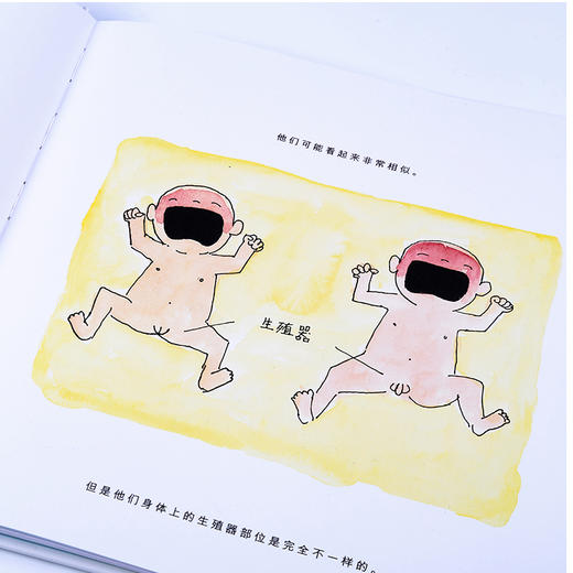 《我从哪里来》儿童性教育绘本精装，一部完整的儿童性教育绘本（5-10岁） 商品图1