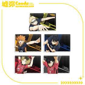 排球少年-亚克力砖