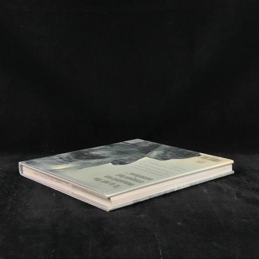 登顶：埃德蒙·希拉里的冒险生活 数百幅插图 精装大16开 商品图2