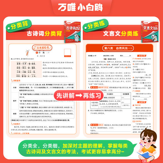 2025小白鸥星空小升初古诗词252首与文言文186篇同步教材专项训练 商品图2