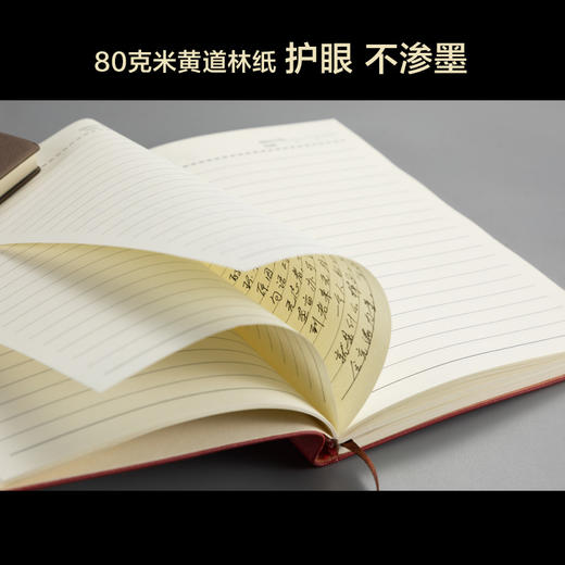 厂家商务a5加厚笔记本定制办公用文具复古简约羊巴皮本子可印logo 商品图3