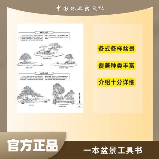绘图盆景造型2000例6674马伯钦绘画参考 植树造林 家庭园艺栽培 树态与盆景造型 中国盆景艺术 简解树桩盆景 造型微型盆景鉴赏林业 商品图2