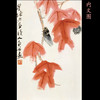昆虫备忘录 美绘本 商品缩略图2