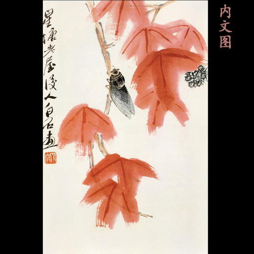 昆虫备忘录 美绘本 商品图2