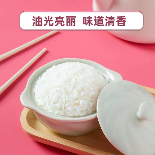 十月稻田五常大米真空装5kg 商品图2