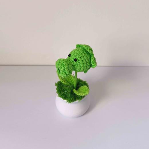 梓艺兴手工#原创编织小盆栽 商品图2