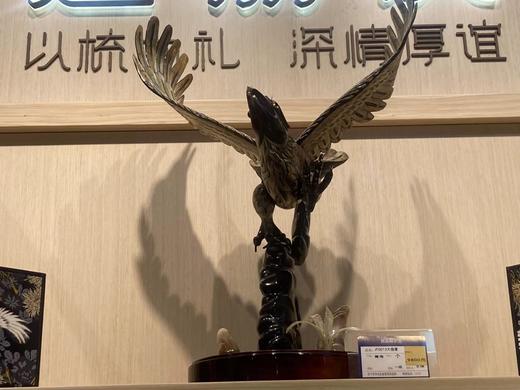 JF0013大雄鹰 商品图0
